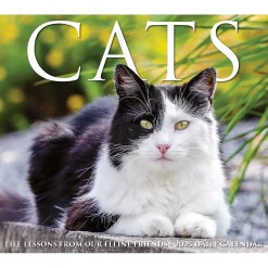 2025 Calendars|Willow Creek 2025 Cats 6