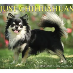 2025 Calendars|Willow Creek 2025 Chihuahuas 6