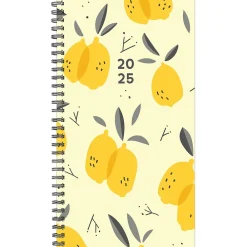 2025 Planners|Willow Creek 2025 Citrus Grove 3.5" x 6.5" Academic Year Weekly Planner Cover, Multicolored (48726)