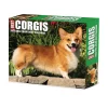 2025 Calendars|Willow Creek 2025 Corgis (Dogs and Puppies) 6" x 5.5" Day-to-Day Calendar, Multicolor (40751)