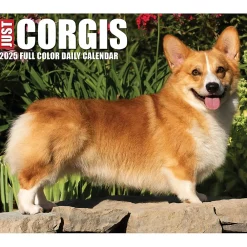 2025 Calendars|Willow Creek 2025 Corgis (Dogs and Puppies) 6
