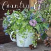 2025 Calendars|Willow Creek 2025 Country Chic 12" x 12" Monthly Wall Calendar (42588)