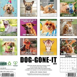 2025 Calendars|Willow Creek 2025 Dog-Gone-It 12" x 12" Monthly Wall Calendar (42724)
