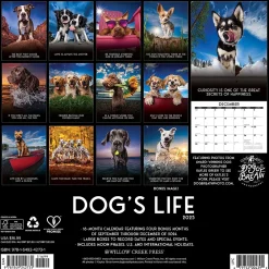 2025 Calendars|Willow Creek 2025 Dog's Life 12" x 12" Monthly Wall Calendar (42731)