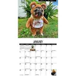 2025 Calendars|Willow Creek 2025 Doug the Pug 7