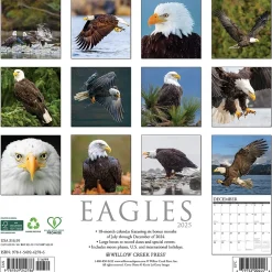 2025 Calendars|Willow Creek 2025 Eagles 12" x 12" Monthly Wall Calendar (42786)