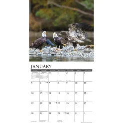 2025 Calendars|Willow Creek 2025 Eagles 12