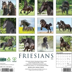 2025 Calendars|Willow Creek 2025 Friesians 12" x 12" Monthly Wall Calendar (42960)