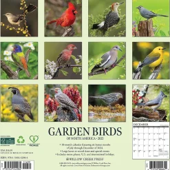 2025 Calendars|Willow Creek 2025 Garden Birds of North America 12" x 12" Monthly Wall Calendar (42984)
