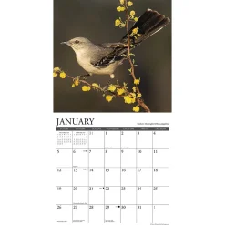 2025 Calendars|Willow Creek 2025 Garden Birds of North America 12