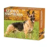 2025 Calendars|Willow Creek 2025 German Shepherds 6" x 5.5" Day-to-Day Calendar, Multicolor (40843)