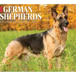 2025 Calendars|Willow Creek 2025 German Shepherds 6