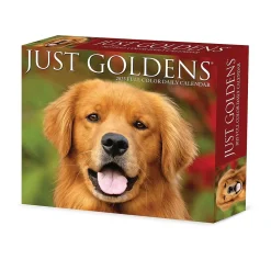 2025 Calendars|Willow Creek 2025 Goldens 6" x 5.5" Day-to-Day Calendar (40867)