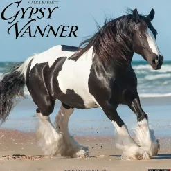 2025 Calendars|Willow Creek 2025 Gypsy Vanner Horse 12" x 12" Monthly Wall Calendar (43264)