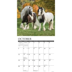 2025 Calendars|Willow Creek 2025 Gypsy Vanner Horse 12