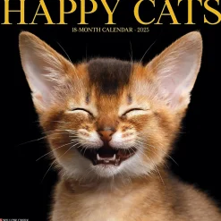 2025 Calendars|Willow Creek 2025 Happy Cats 12" x 12" Monthly Wall Calendar (43288)