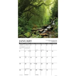 2025 Calendars|Willow Creek 2025 Heaven Has a Forest 12