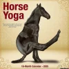 2025 Calendars|Willow Creek 2025 Horse Yoga 12" x 12" Monthly Wall Calendar (43370)