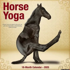 2025 Calendars|Willow Creek 2025 Horse Yoga 12" x 12" Monthly Wall Calendar (43370)