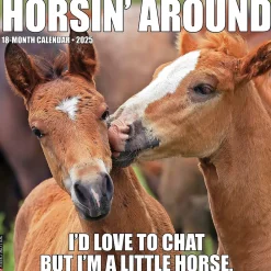 2025 Calendars|Willow Creek 2025 Horsin’ Around 12" x 12" Monthly Wall Calendar (43394)