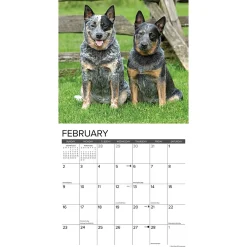 2025 Calendars|Willow Creek 2025 Just Blue Heelers 12