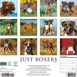 2025 Calendars|Willow Creek 2025 Just Boxers 12" x 12" Monthly Wall Calendar, Multicolor (41949)