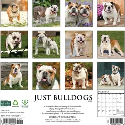 2025 Calendars|Willow Creek 2025 Just Bulldogs 12" x 12" Monthly Wall Calendar (42038)