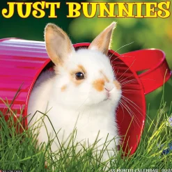 2025 Calendars|Willow Creek 2025 Just Bunnies 12" x 12" Monthly Wall Calendar (42045)