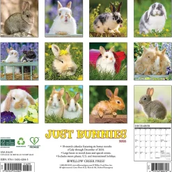 2025 Calendars|Willow Creek 2025 Just Bunnies 12" x 12" Monthly Wall Calendar (42045)