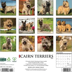 2025 Calendars|Willow Creek 2025 Just Cairn Terriers 12" x 12" Monthly Wall Calendar (42083)