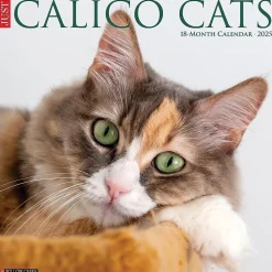 2025 Calendars|Willow Creek 2025 Just Calico Cats 12" x 12" Monthly Wall Calendar (42090)