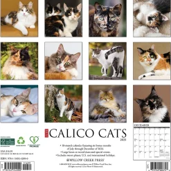 2025 Calendars|Willow Creek 2025 Just Calico Cats 12" x 12" Monthly Wall Calendar (42090)