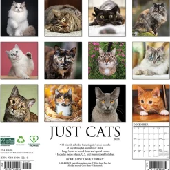 2025 Calendars|Willow Creek 2025 Just Cats 12" x 12" Monthly Wall Calendar (42236)