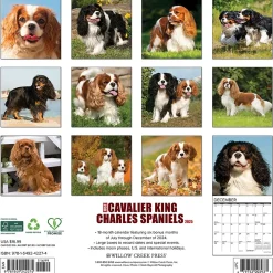 2025 Calendars|Willow Creek 2025 Just Cavalier King Charles Spaniels 12" x 12" Monthly Wall Calendar (42274)