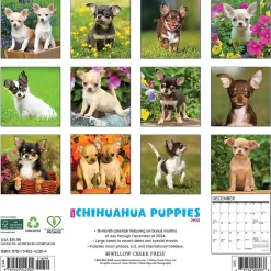 2025 Calendars|Willow Creek 2025 Just Chihuahua Puppies 12" x 12" Monthly Wall Calendar (42304)