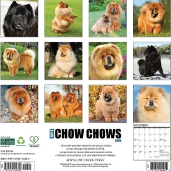 2025 Calendars|Willow Creek 2025 Just Chow Chows 12" x 12" Monthly Wall Calendar (42380)