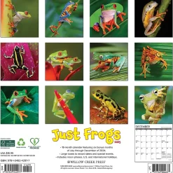 2025 Calendars|Willow Creek 2025 Just Frogs 12" x 12" Monthly Wall Calendar (42977)