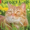 2025 Calendars|Willow Creek 2025 Just Ginger Cats 12" x 12" Monthly Wall Calendar (43059)