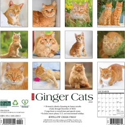 2025 Calendars|Willow Creek 2025 Just Ginger Cats 12" x 12" Monthly Wall Calendar (43059)
