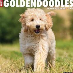 2025 Calendars|Willow Creek 2025 Just Goldendoodles 12" x 12" Monthly Wall Calendar (43127)