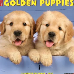 2025 Calendars|Willow Creek 2025 Just Golden Puppies 12" x 12" Monthly Wall Calendar (43097)