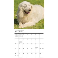 2025 Calendars|Willow Creek 2025 Just Great Pyrenees 12