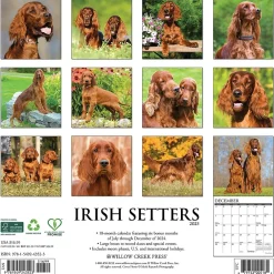 2025 Calendars|Willow Creek 2025 Just Irish Setters 12" x 12" Monthly Wall Calendar (43523)