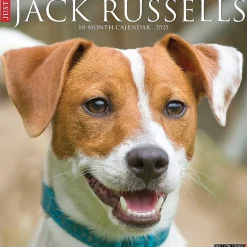 2025 Calendars|Willow Creek 2025 Just Jack Russells 12" x 12" Monthly Wall Calendar (43554)