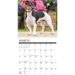 2025 Calendars|Willow Creek 2025 Just Jack Russells 12