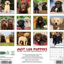 2025 Calendars|Willow Creek 2025 Just Lab Puppies 12" x 12" Monthly Wall Calendar (43653)