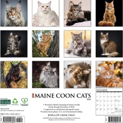 2025 Calendars|Willow Creek 2025 Just Maine Coon Cats 12" x 12" Monthly Wall Calendar (43813)