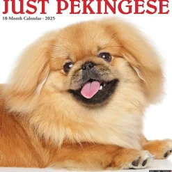 2025 Calendars|Willow Creek 2025 Just Pekingese 12" x 12" Monthly Wall Calendar (44407)