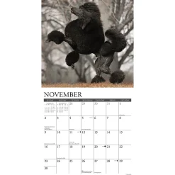 2025 Calendars|Willow Creek 2025 Just Poodles 12