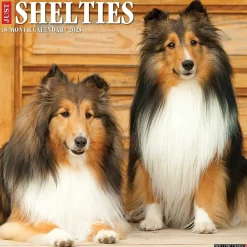 2025 Calendars|Willow Creek 2025 Just Shelties 12" x 12" Monthly Wall Calendar (44841)
